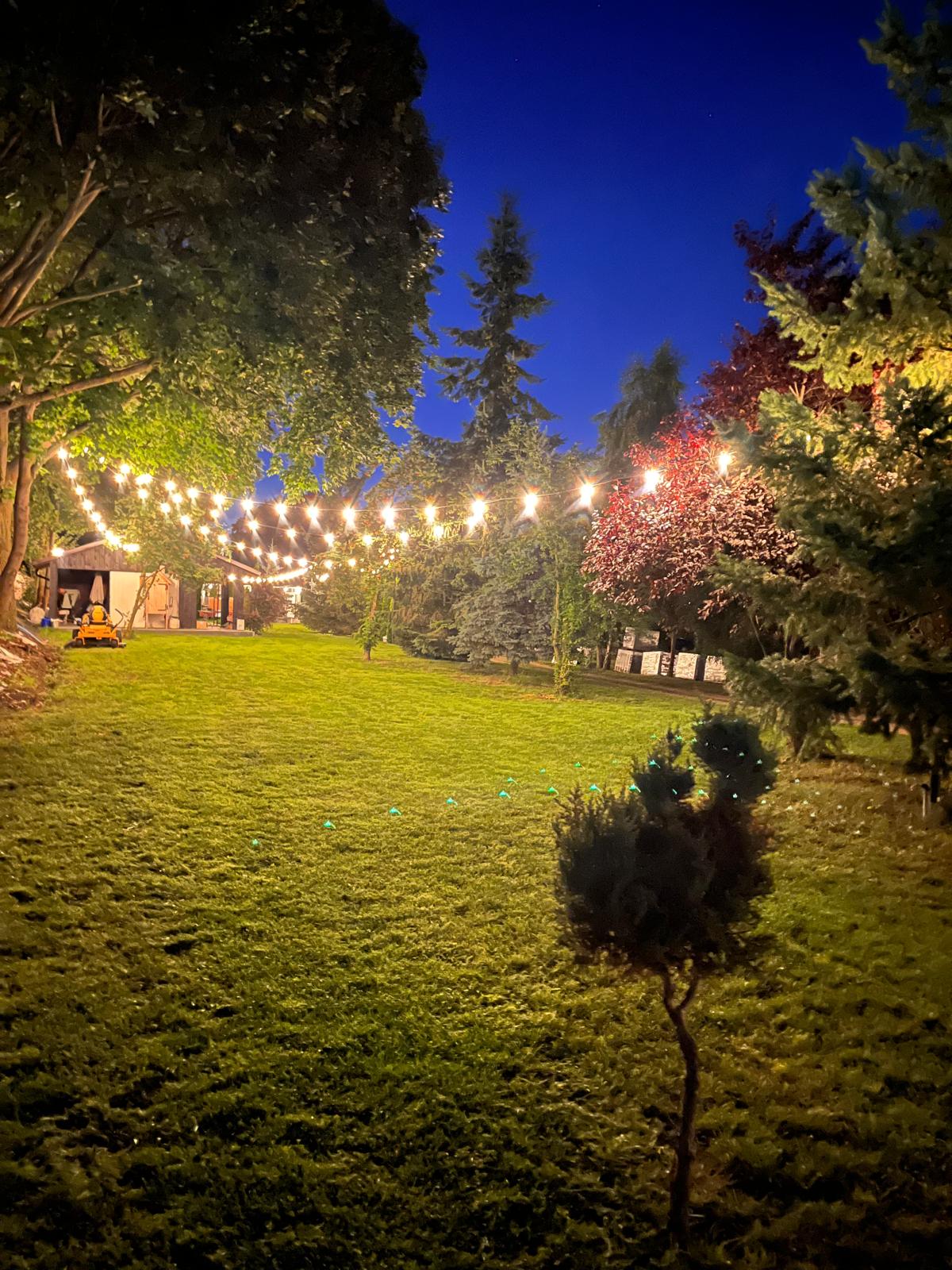 Galeria obiektu – zdjęcie 12
